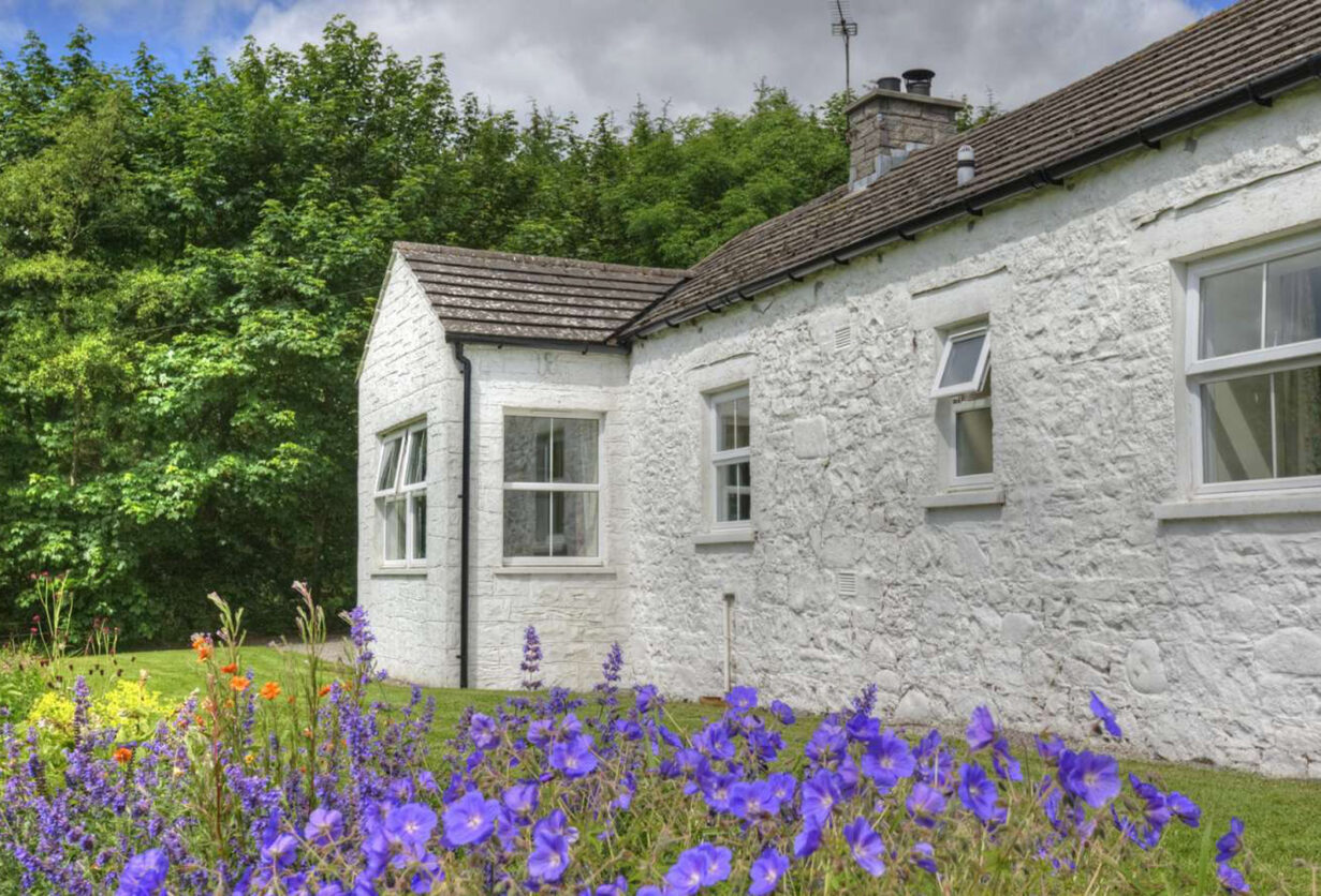 The lodge at a glance