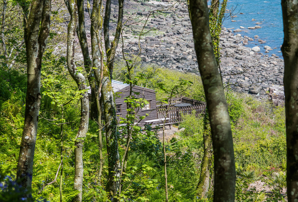 The lodge at a glance