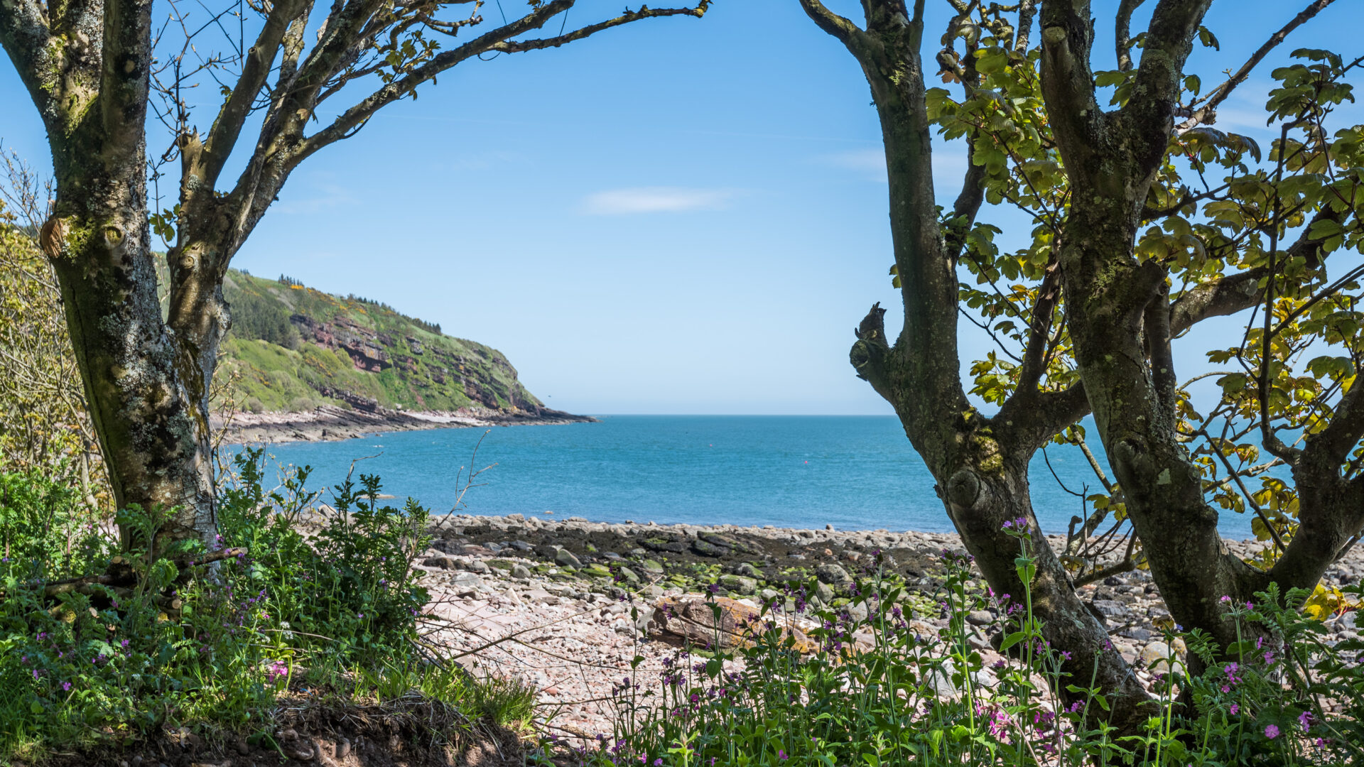 The Sea Shore