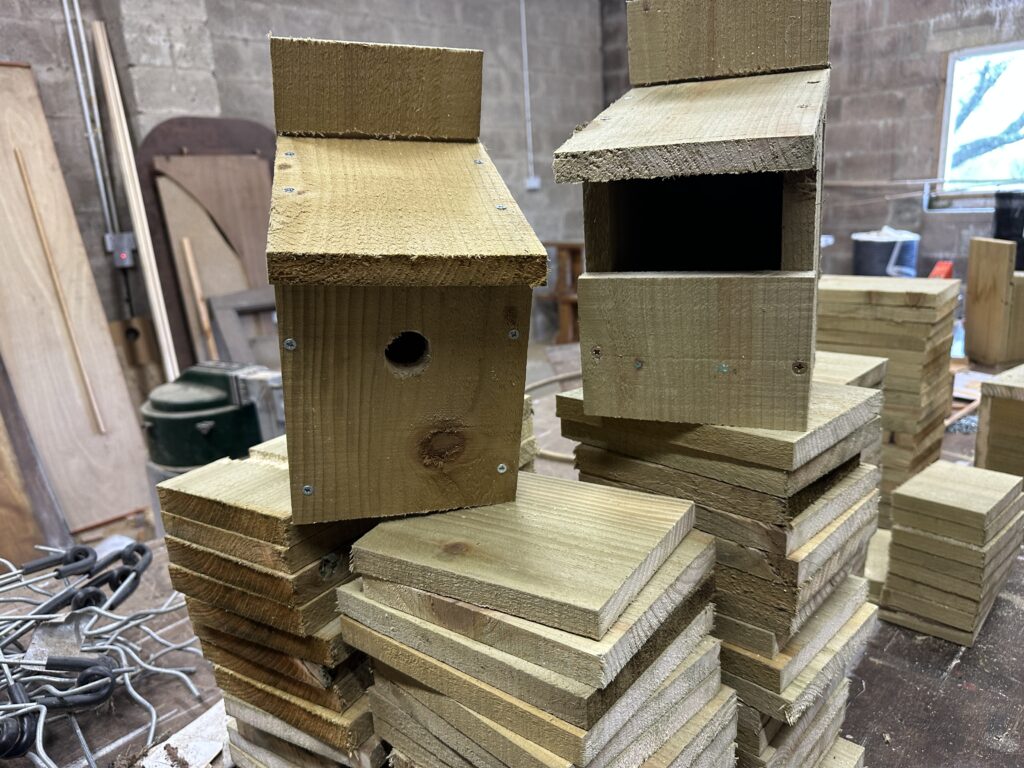 Making bird nesting boxes