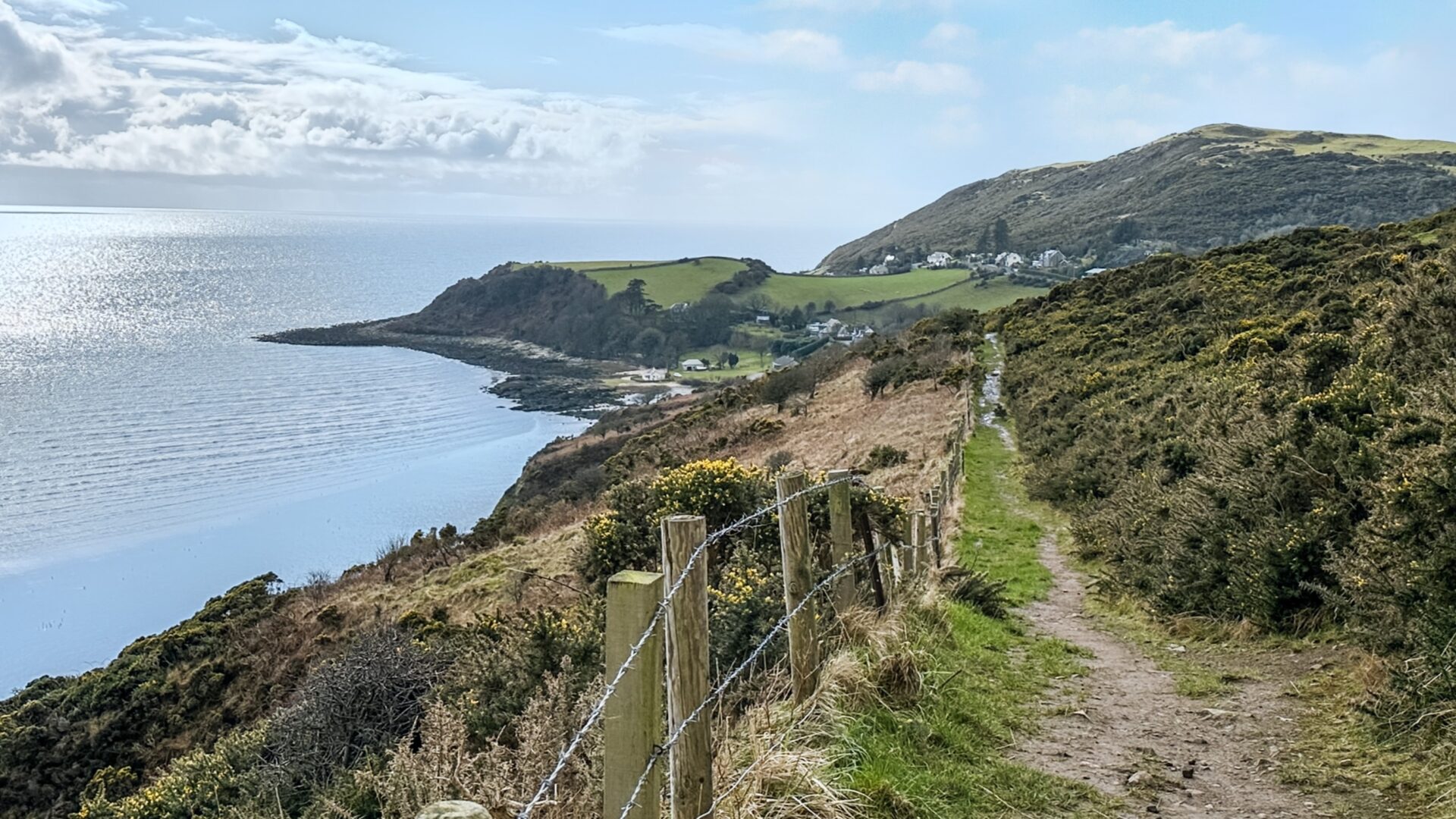 local Image