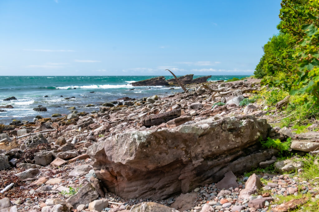 Rocky beach is perfect to explore