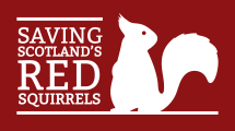 Saving Scotland's Red Squirrels