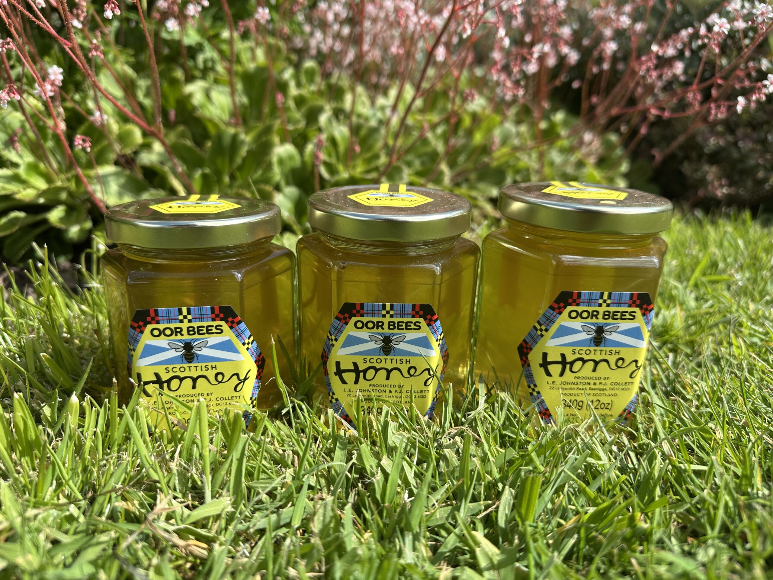 Honey from Orroland bees