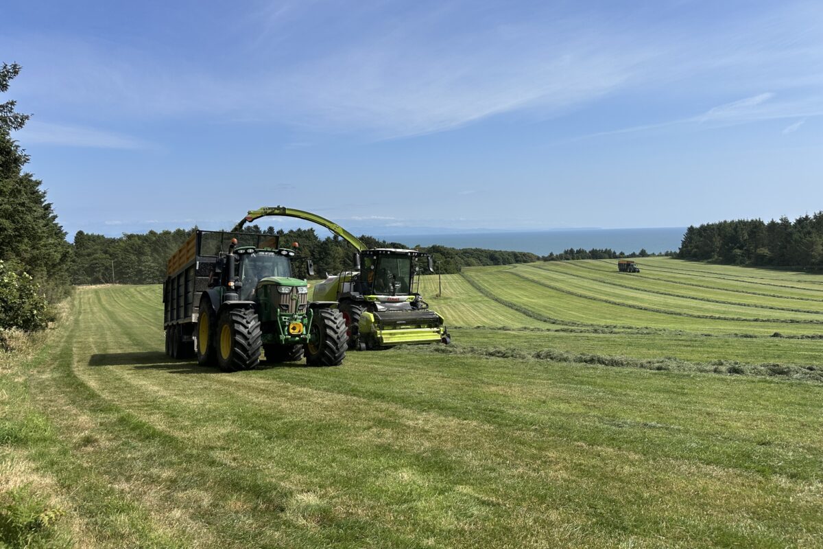 Farming at Orroland: a living landscape