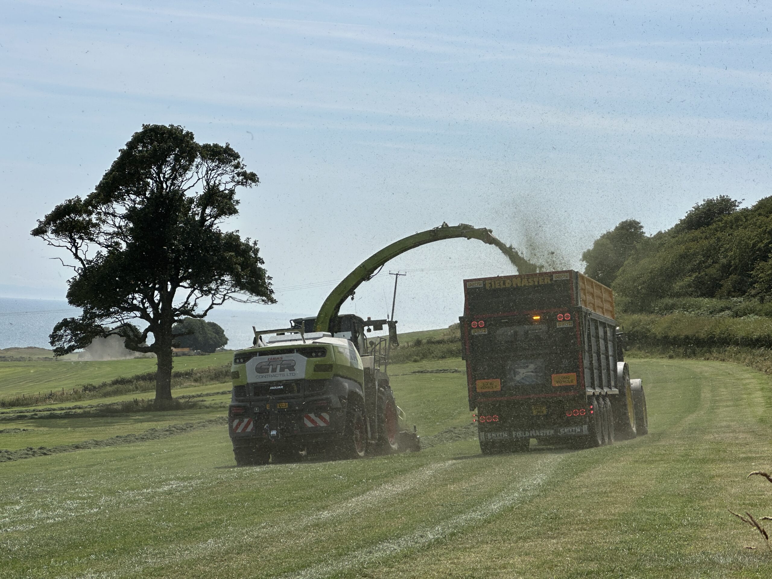 Making silage in the fields at Orroland in mid-summer